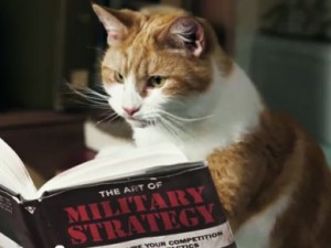 A cat studying military strategy.